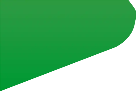 svgviewer-png-output(2)